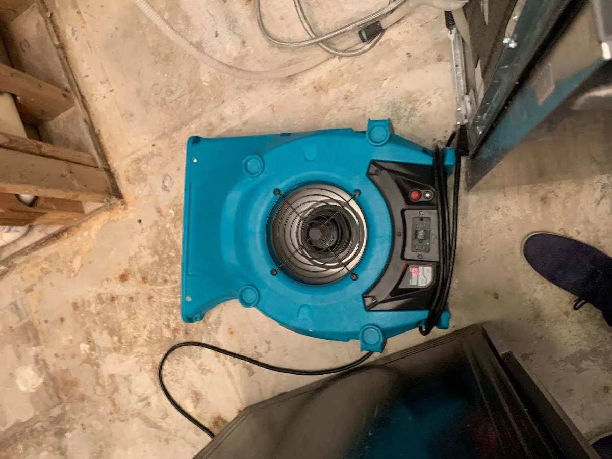 Air mover drying equipment for Mold Remediation & Removal in Royalton