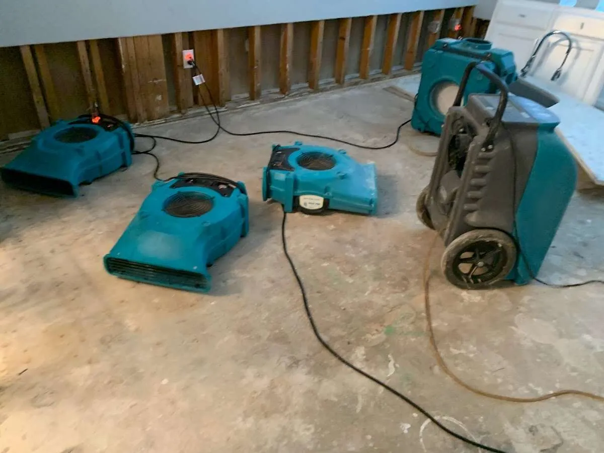 Water Damage Restoration services in Royalton, MI